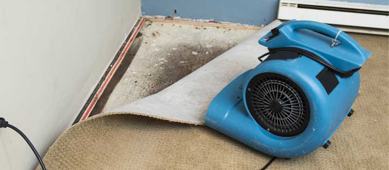 Wet Carpet Cleanup in Lake County, FL