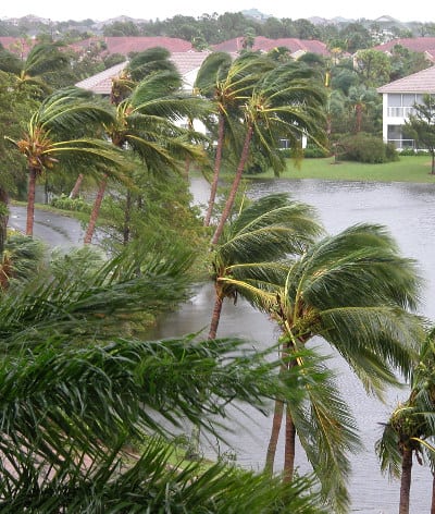 Wind Damage Cleanup in Lakeland, Florida