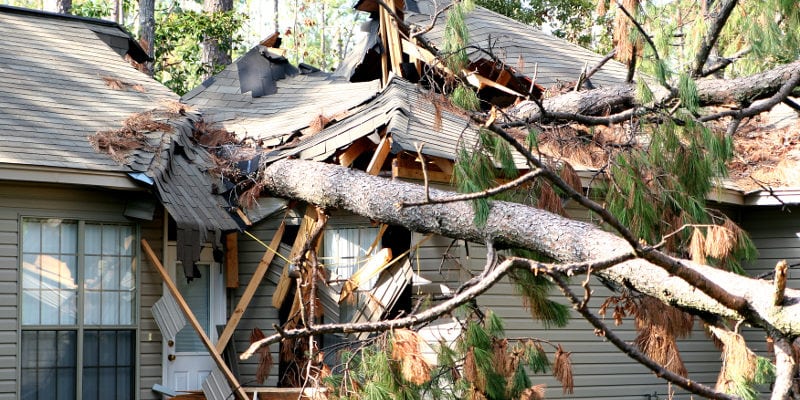 Storm Damage in Lakeland, Florida