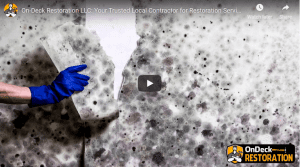 Restoration Services