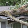 Storm Damage Repair in Central Florida