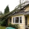 Wind Damage Repair in Central Florida