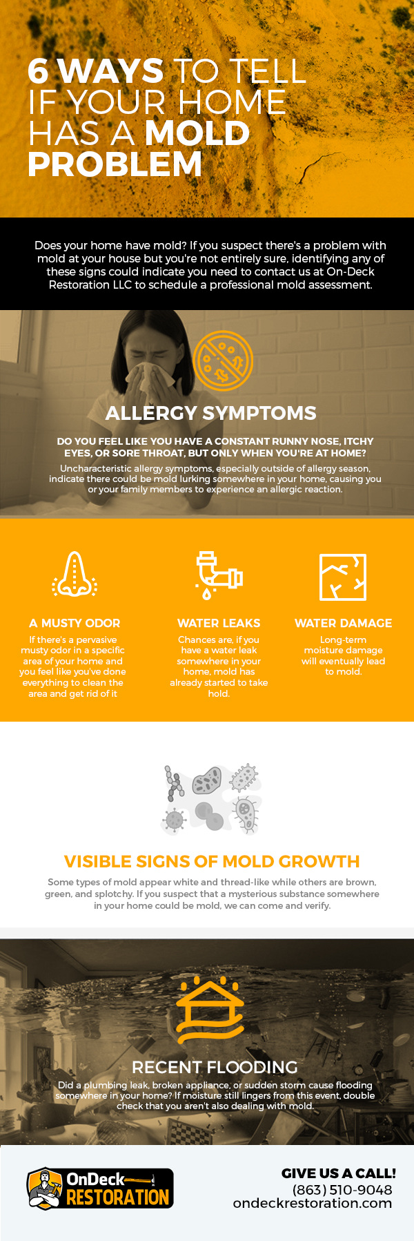 6 Ways to Tell if Your Home Has a Mold Problem [infographic]