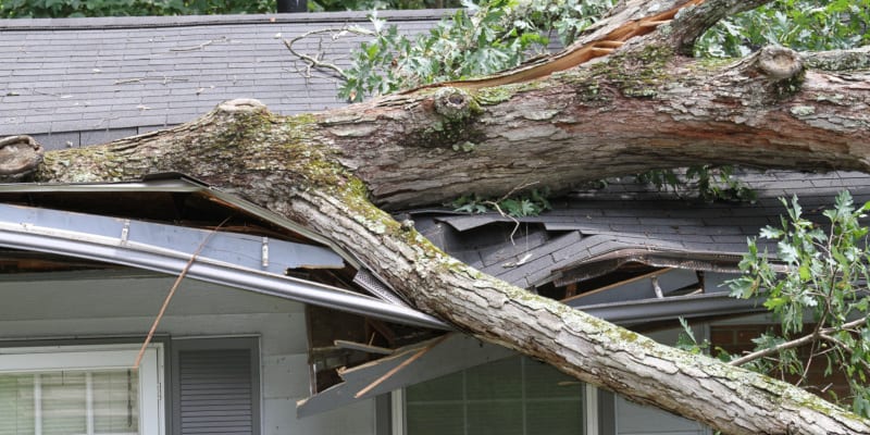 restore your home after it has been impacted by wind damage
